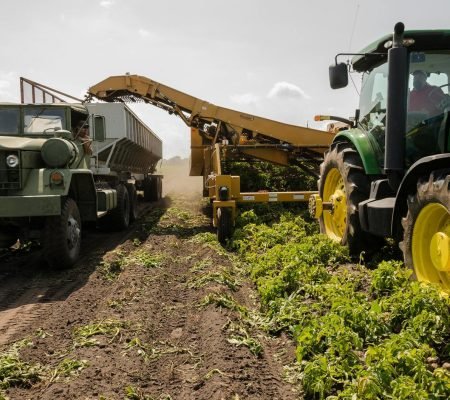 a-tractor-and-truck-collaborate-in-harvesting.jpeg